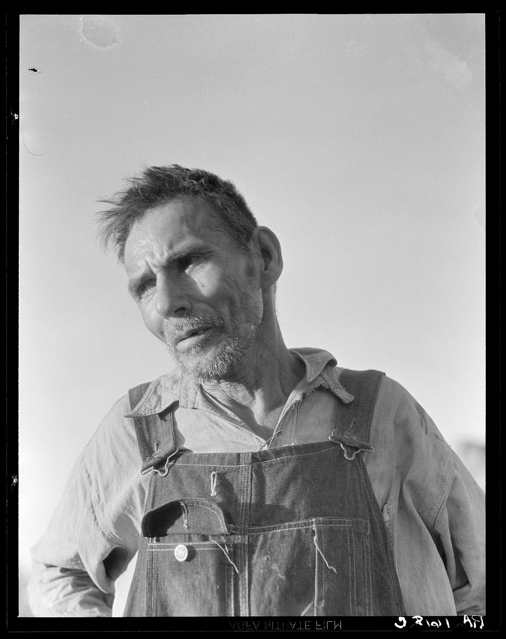 Imperial Valley, California. Old Mexican laborer saying "I have worked all my life and all I have now is my broken body".…