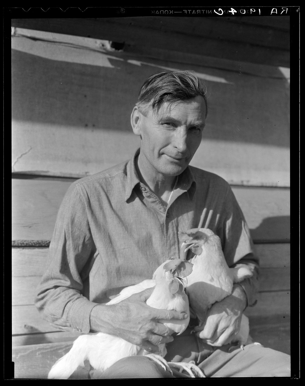 Rural rehabilitation client. Chicken farmer making good on rural resettlement loan. He sells one case of eggs a day. Worked…