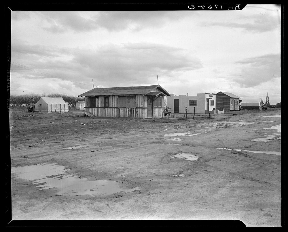 Street and homes in "Little Oklahoma." Forty families in this group.  Tents, tent houses, shacks, freight cars converted…