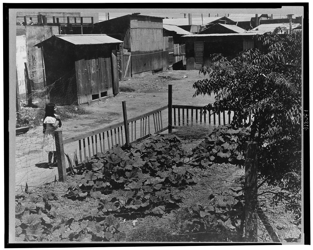Mexican field laborers' houses. Brawley, Imperial Valley, California. Sourced from the Library of Congress.