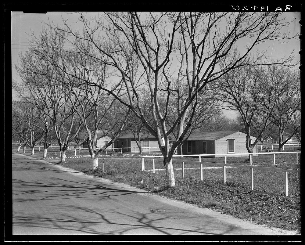 El Monte federal subsistence homesteads. One hundred homes. All occupied, each with nearly an acre of ground. Average yearly…
