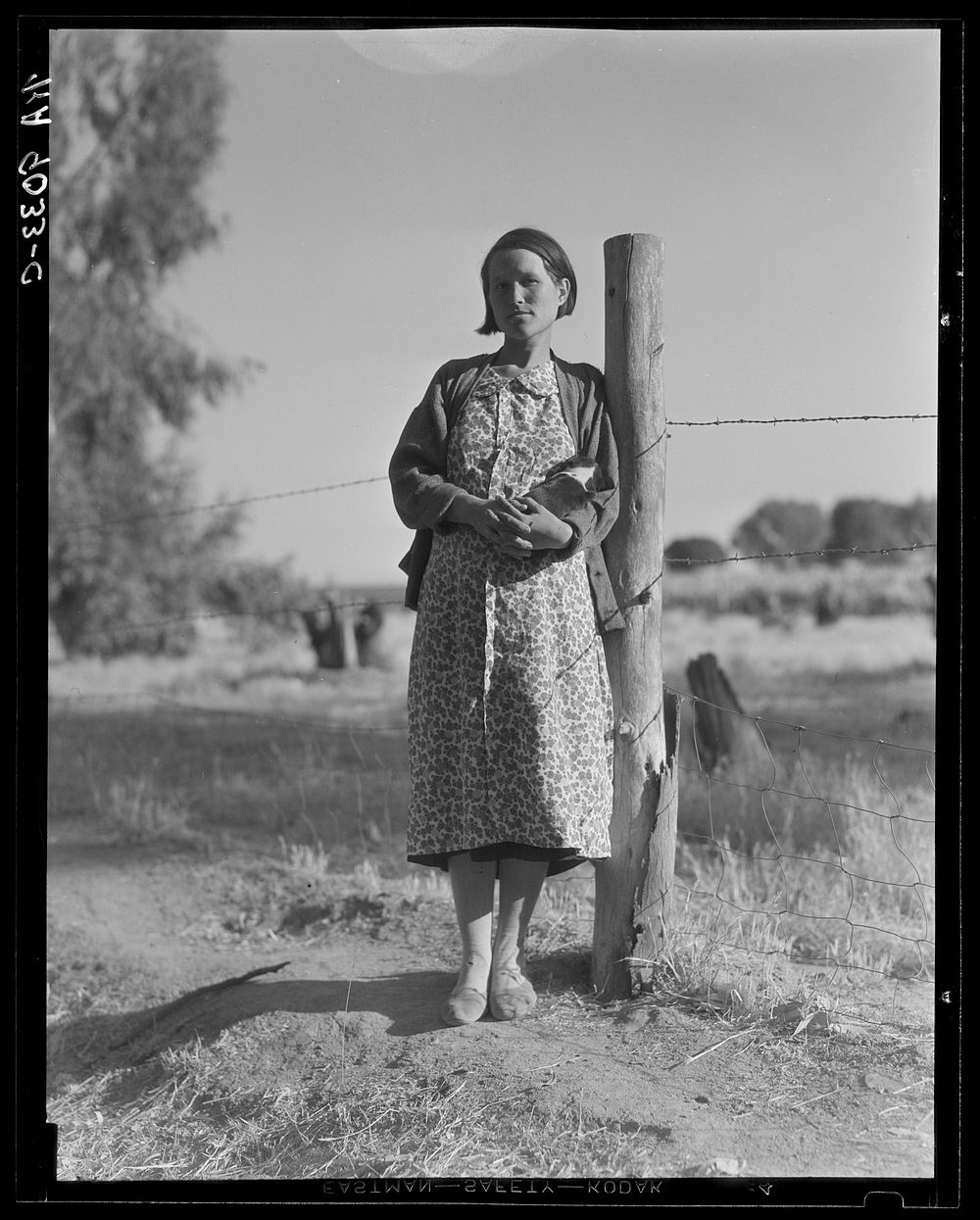 Pregnant migrant woman living in California squatter camp. Kern County by Dorothea Lange