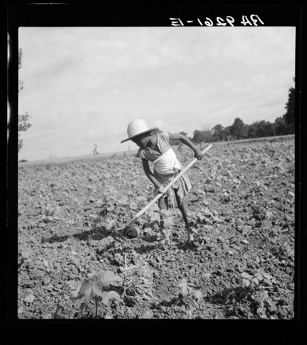 Child of impoverished  tenant family working on farm. Alabama by Dorothea Lange
