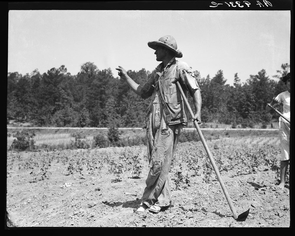 Alabama tenant farmer near Anniston, Alabama. Sourced from the Library of Congress.