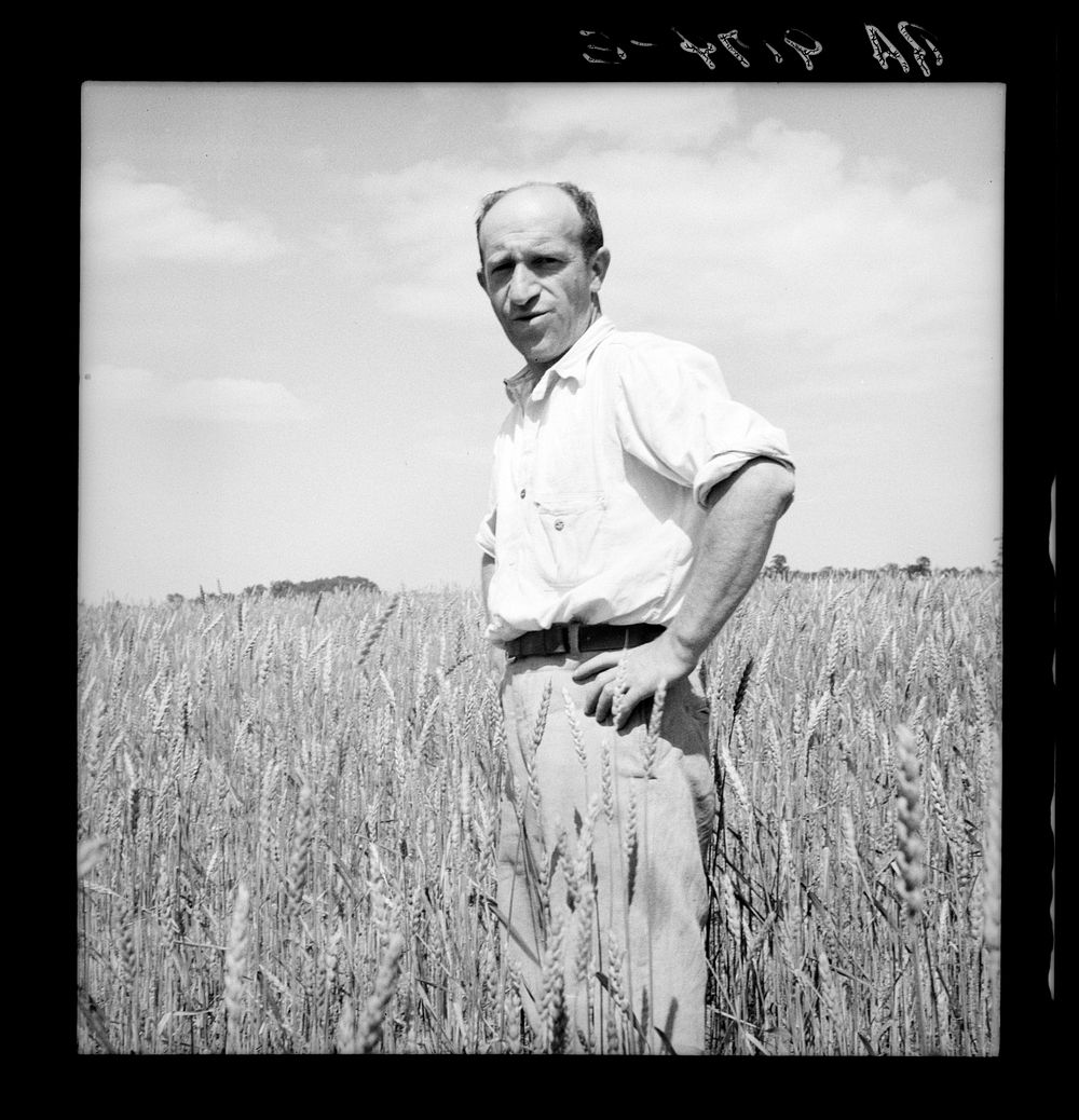 Member of the Hightstown farm group says: "Who says Jews can't farm?" Hightstown, New Jersey. Sourced from the Library of…