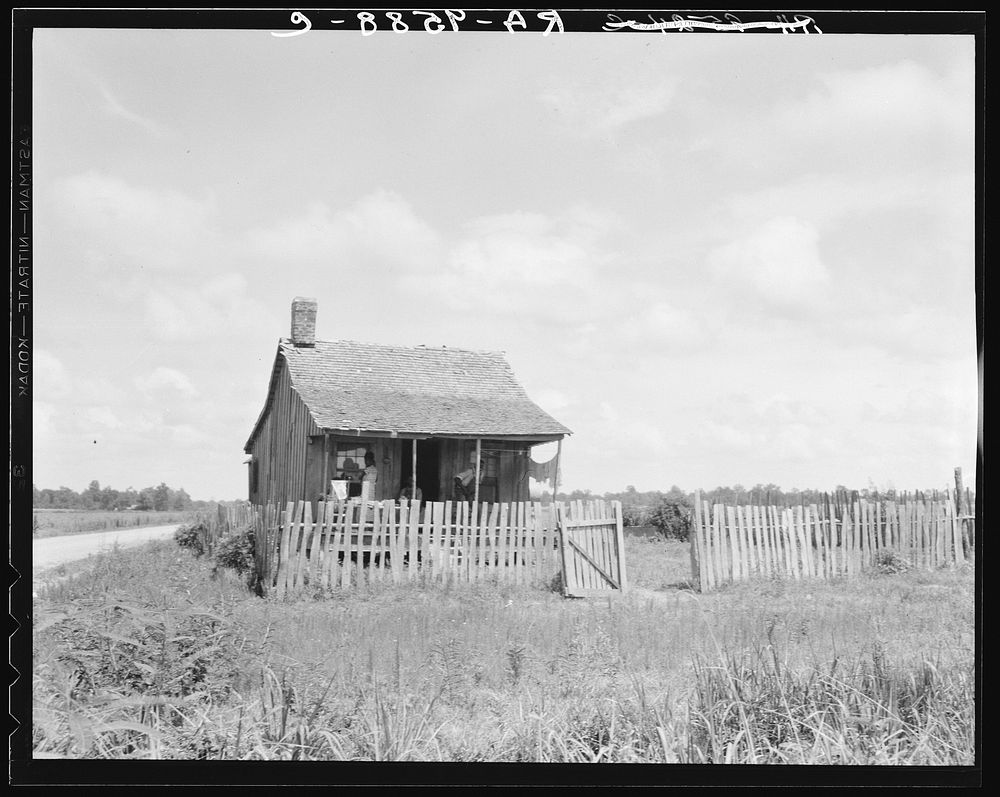 Plantation cotton cabin (). Mississippi Delta, near Vicksburg. Sourced from the Library of Congress.
