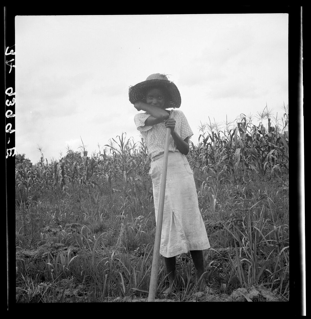  girl working in the fields. Mississippi Delta. Sourced from the Library of Congress.