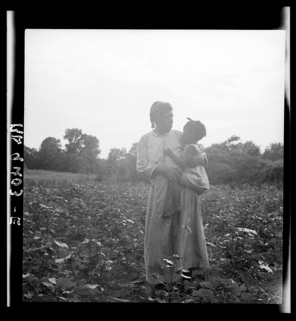 Old time Mississippi  living on a cotton patch near Vicksburg, Mississippi. Sourced from the Library of Congress.