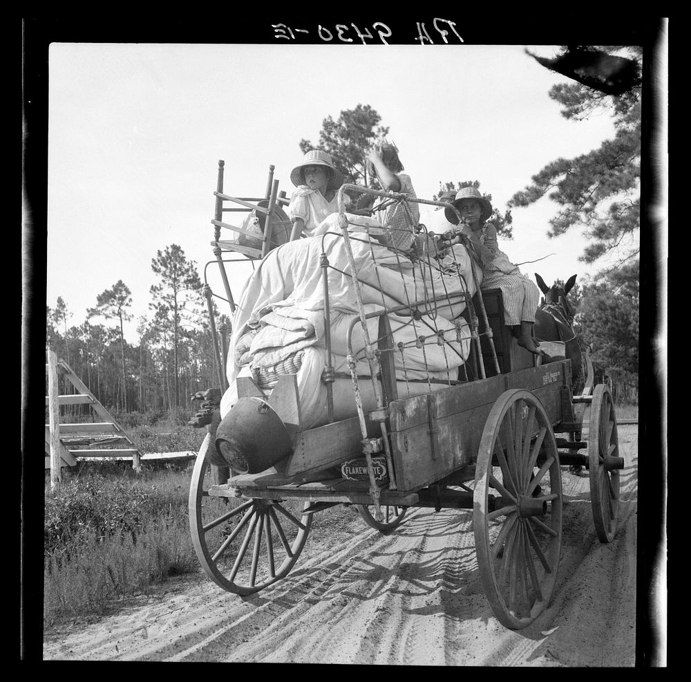 Moving day in the turpentine pine forest country. North Florida. Sourced from the Library of Congress.