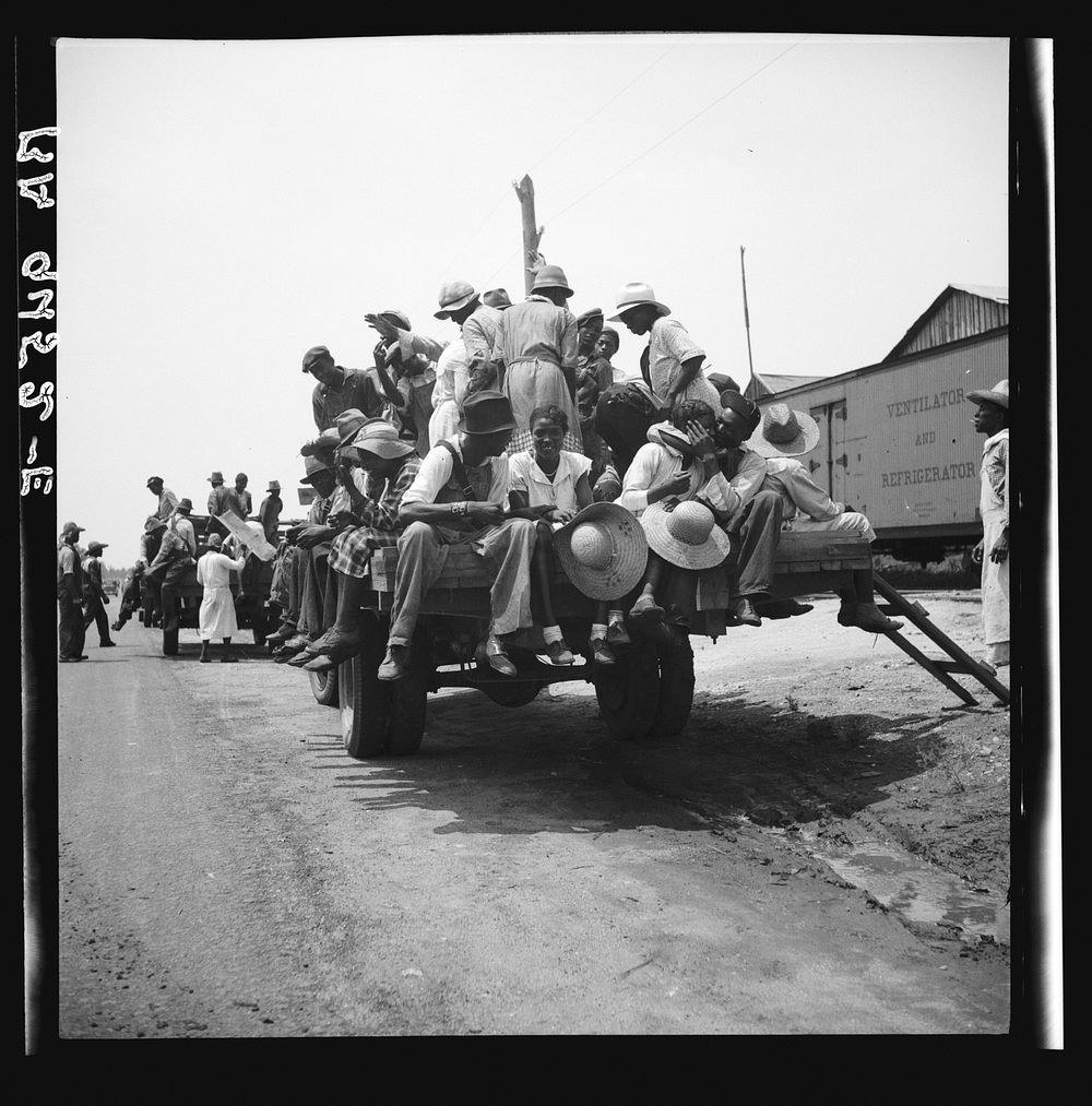 Peach pickers being driven to the orchards. They earn seventy-five cents a day. Muscella, Georgia. Sourced from the Library…