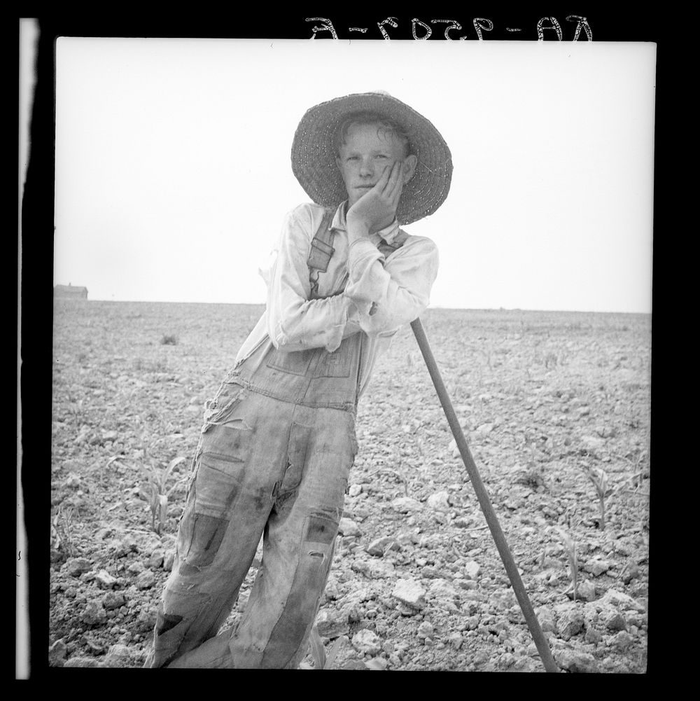 Hoe culture in the South. Poor white, North Carolina by Dorothea Lange