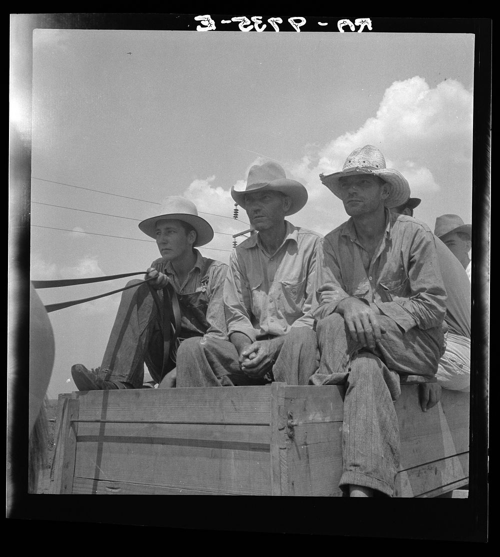Arkansas sharecroppers going home. Near Blytheville, Arkansas. Sourced from the Library of Congress.