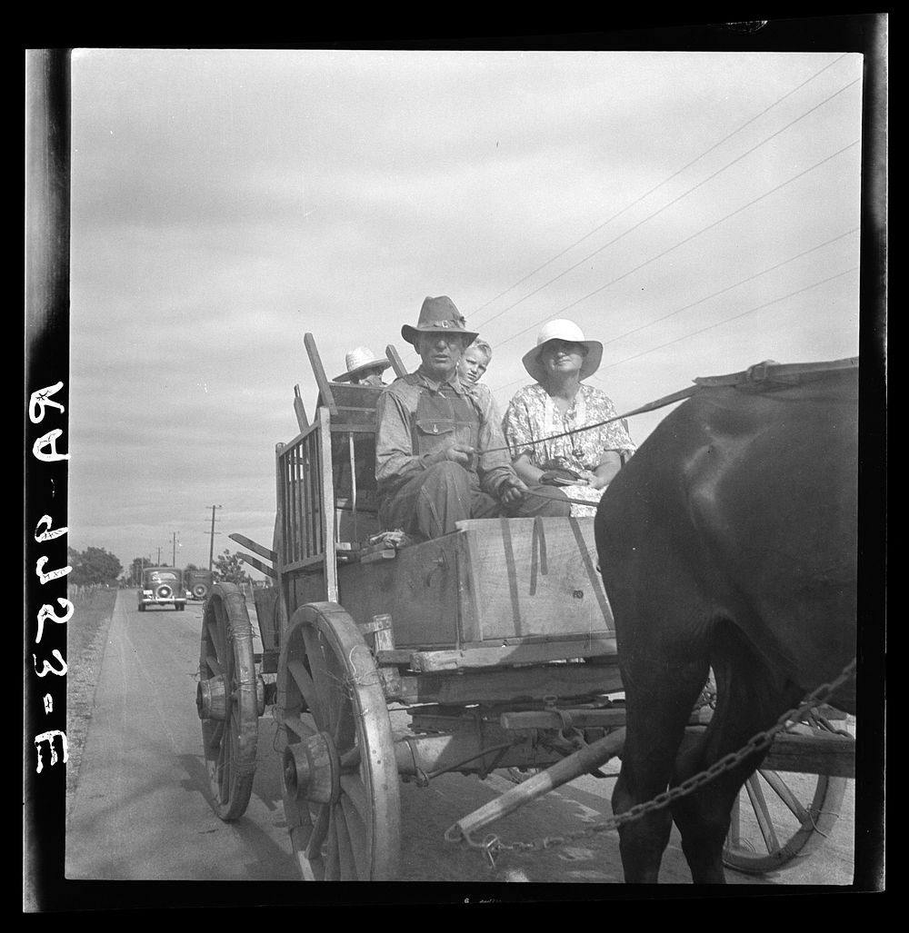 Moving day on the Delta cotton lands. Arkansas. Sourced from the Library of Congress.