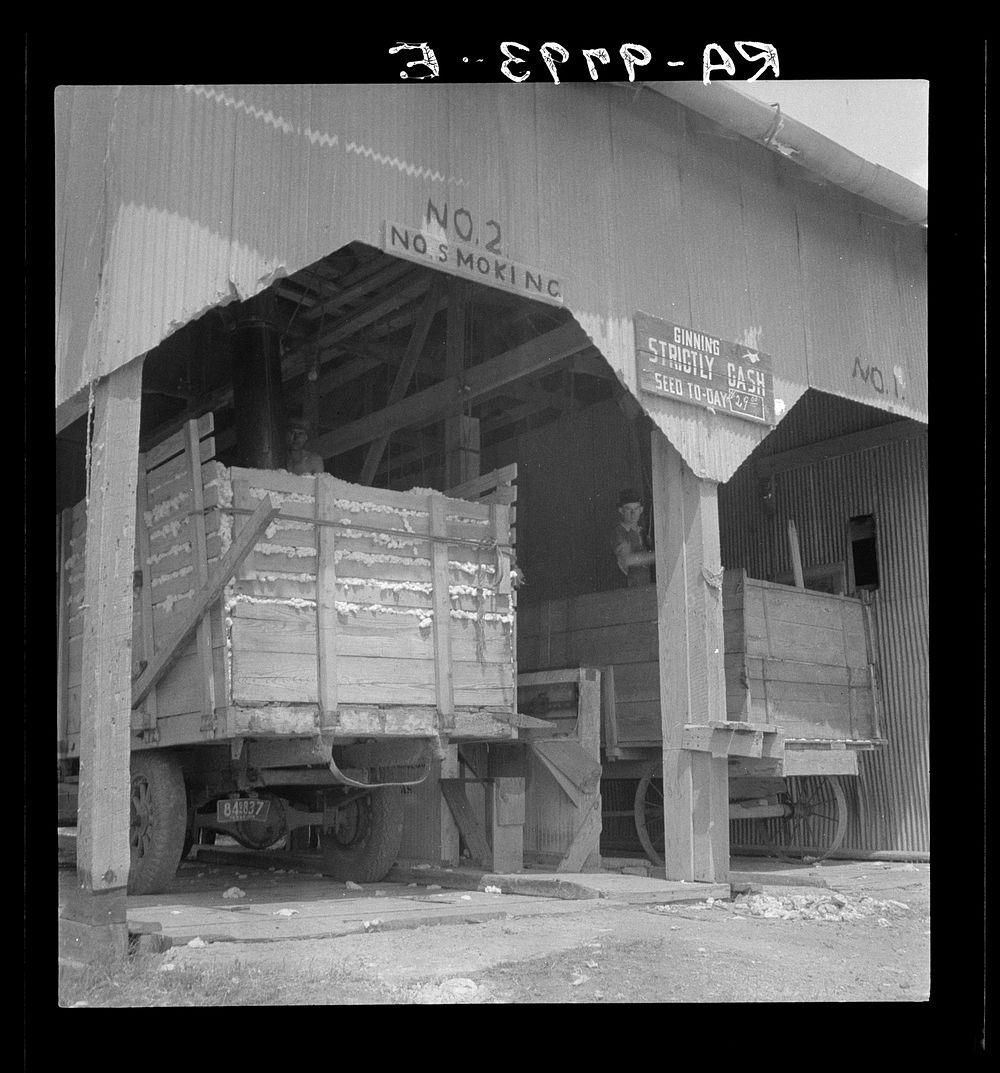 The cotton gin near Robstown, Texas. Sourced from the Library of Congress.