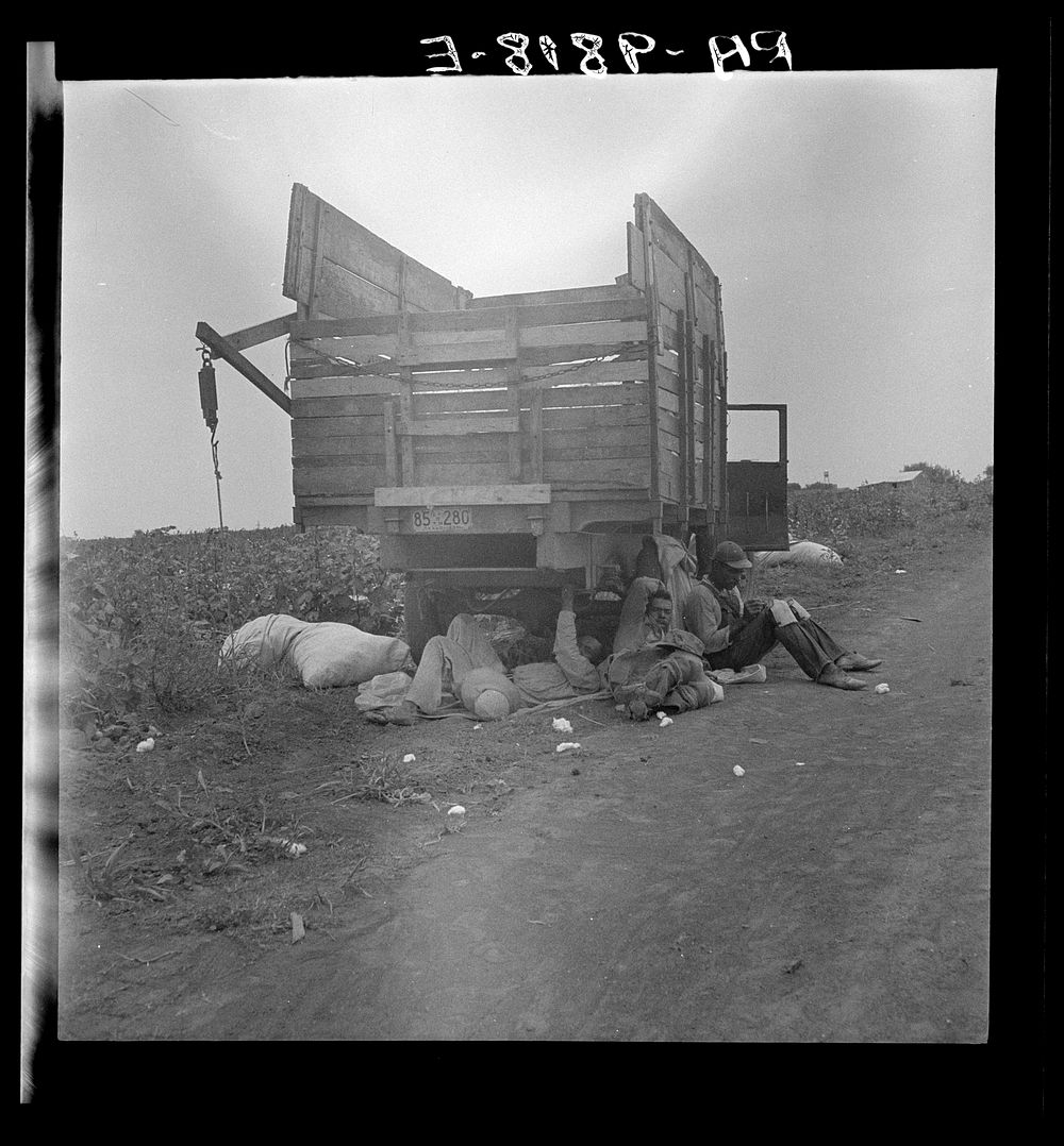 Cotton pickers' lunchtime. Near Corpus Christi, Texas. Sourced from the Library of Congress.