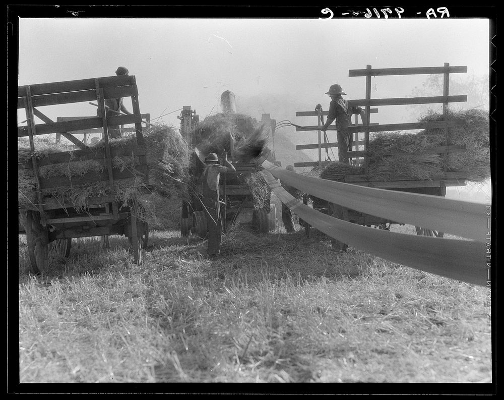 threshing oats. Clayton, Indiana, south Free Photo rawpixel