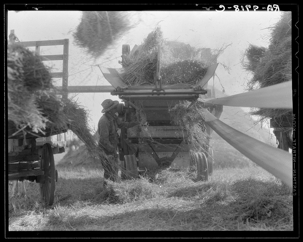 The threshing of oats. Clayton, Indiana, south of Indianapolis. Sourced from the Library of Congress.