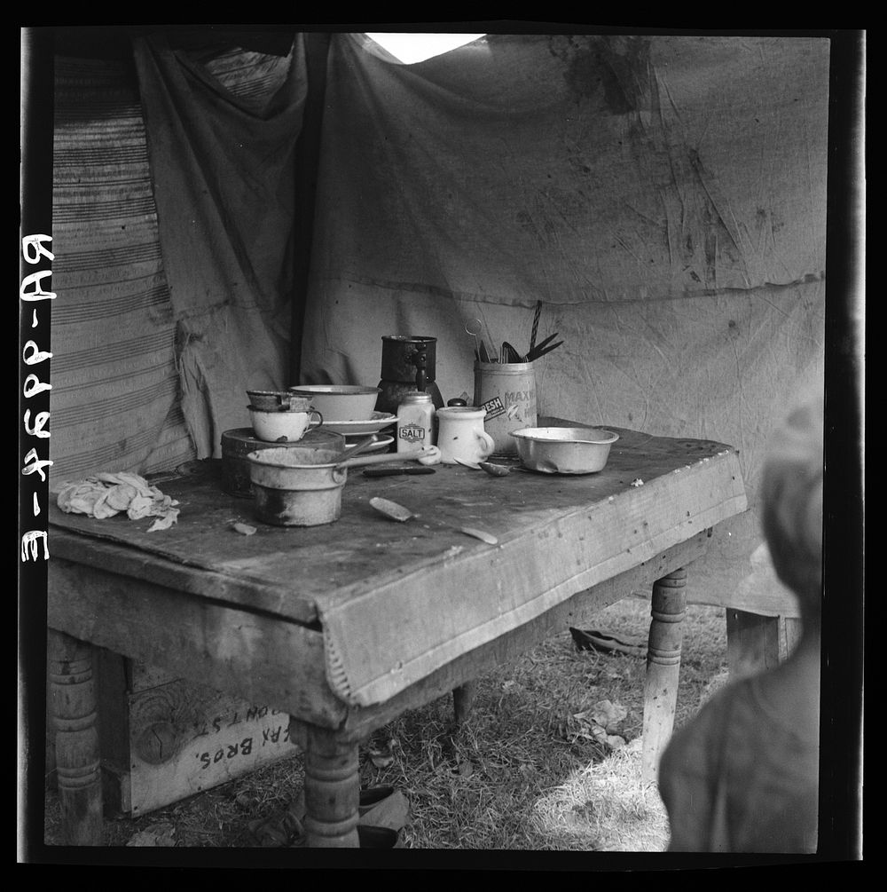 Food supply of migrant family. American River camp near Sacramento, California. Sourced from the Library of Congress.