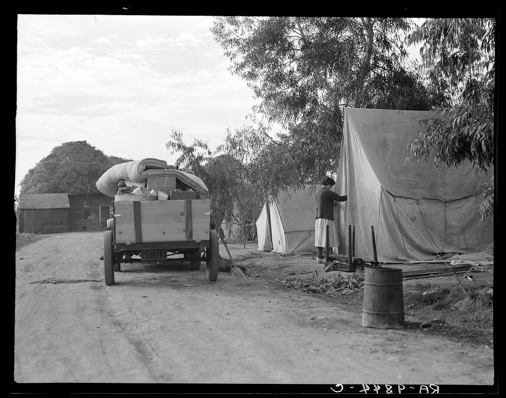 Cotton camp near Exeter, California. The woman is a native of California. Sourced from the Library of Congress.