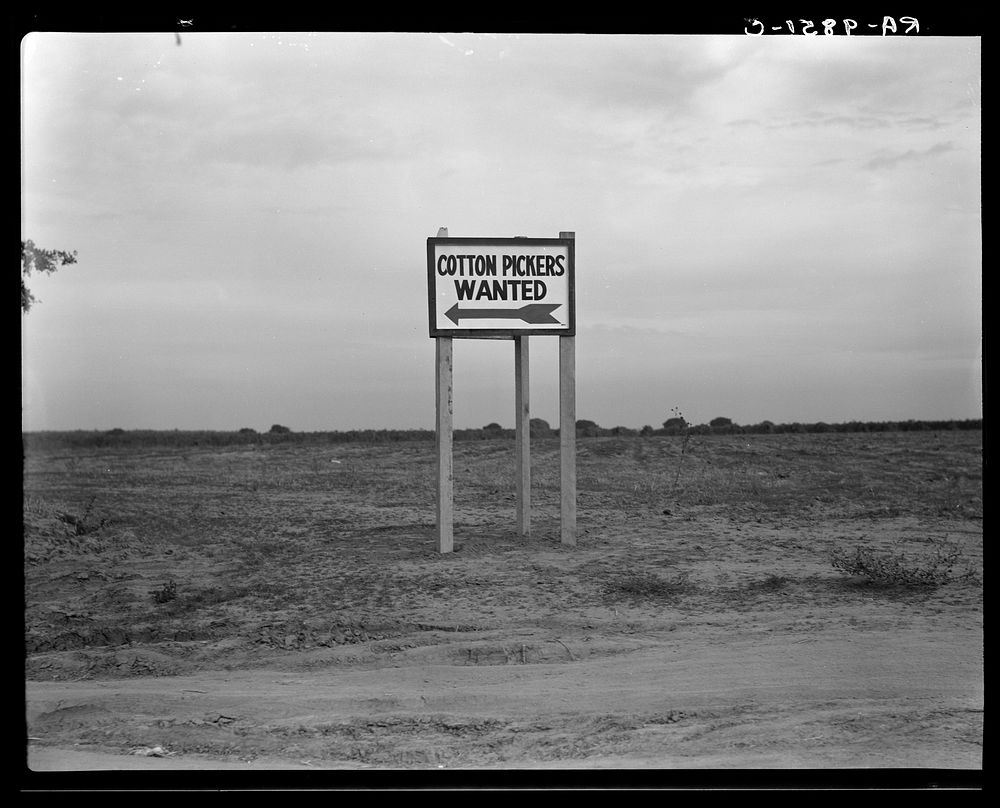 Along U.S. Highway 99. Southern San Joaquin Valley, California. Sourced from the Library of Congress.