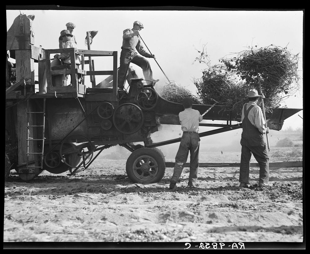 Bean thresher. Mechanized agriculture between Turlock and Merced, California by Dorothea Lange
