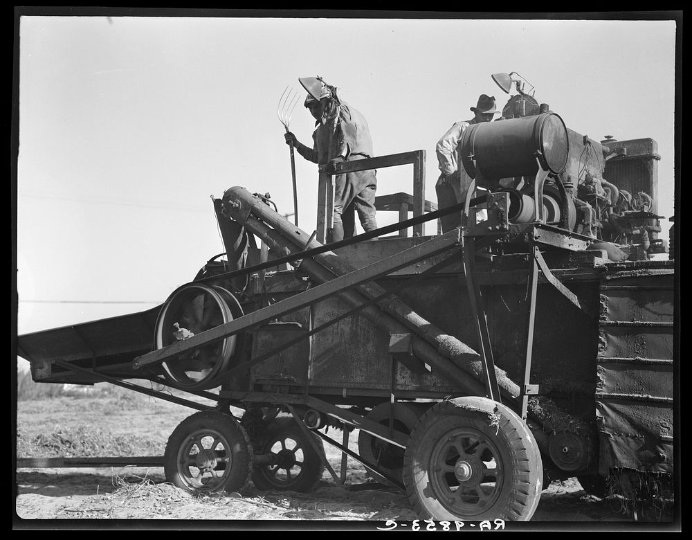 Bean thresher. Mechanized agriculture between Turlock and Merced, California. Sourced from the Library of Congress.