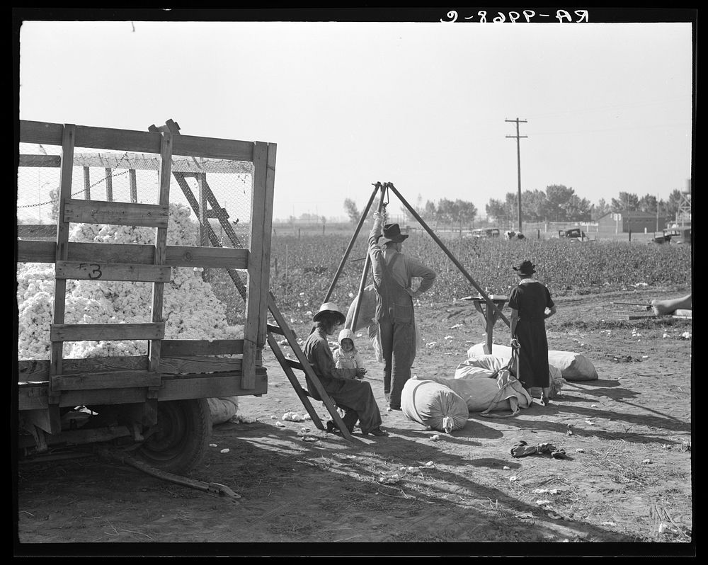 Cotton weigher. Southern San Joaquin Valley, California. Sourced from the Library of Congress.