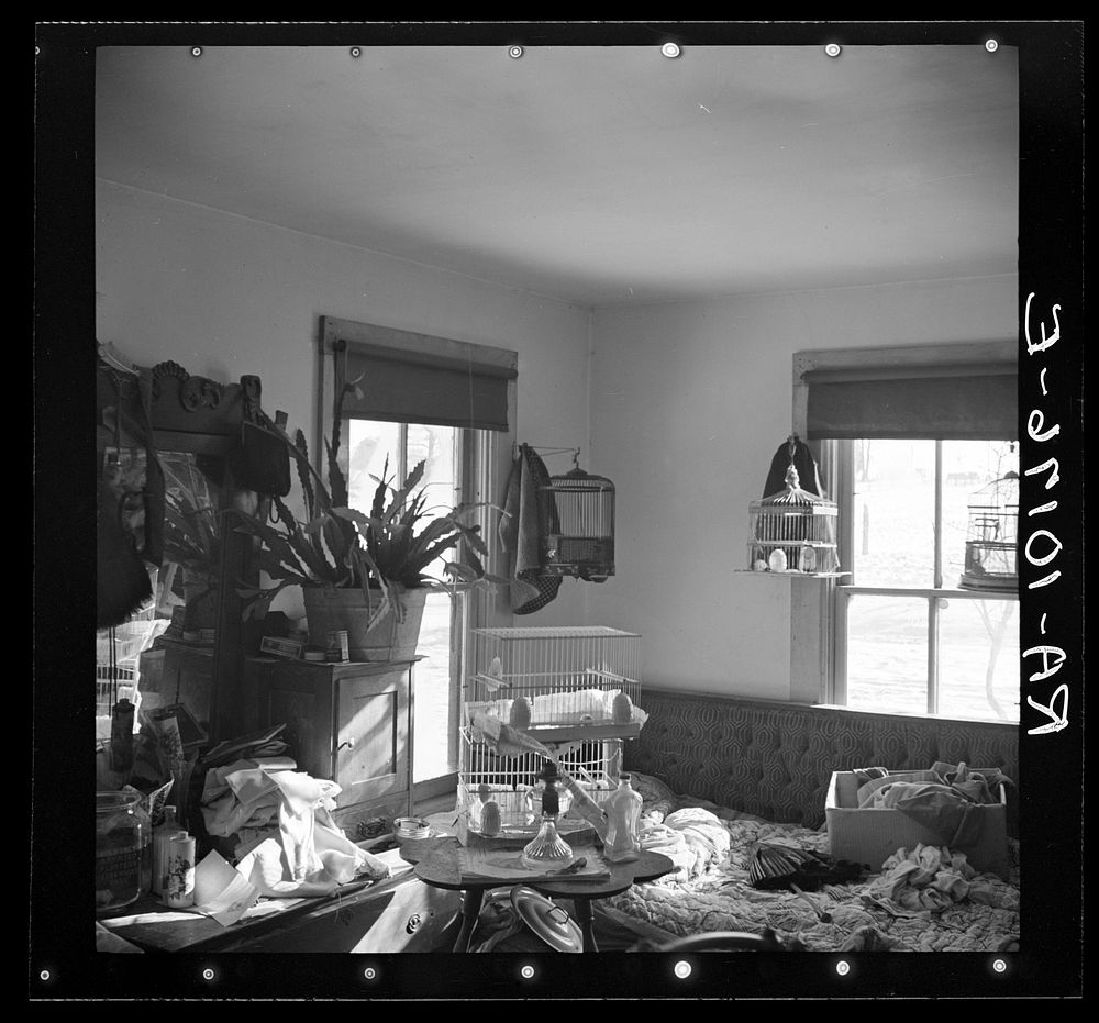 One of the rooms of James Simmons' house near Marseilles, Illinois. He is a tenant farmer on two hundred forty acre farm…