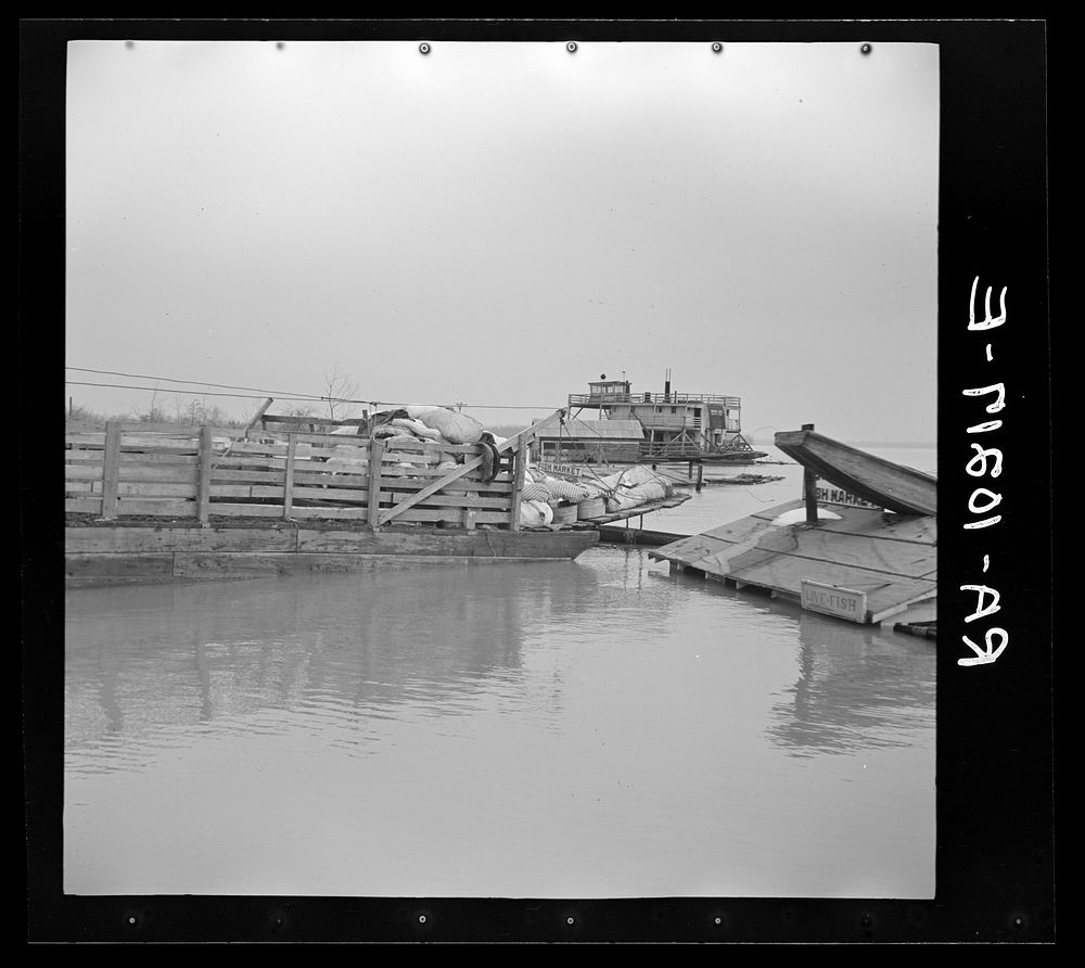 A large load of household goods which has been moved from the path of the flood. Moored at the levee in New Madrid, Missouri…