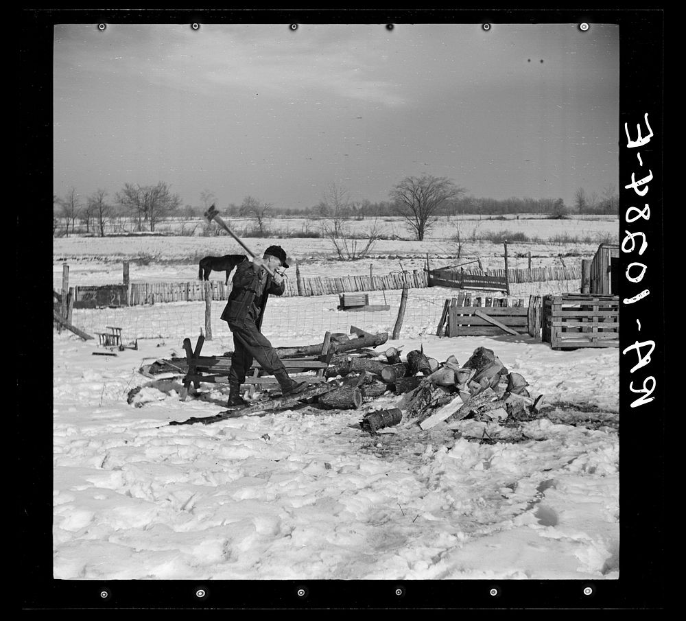 Oscar Gaither, tenant farmer, chopping wood near McLeansboro, Illinois by Russell Lee