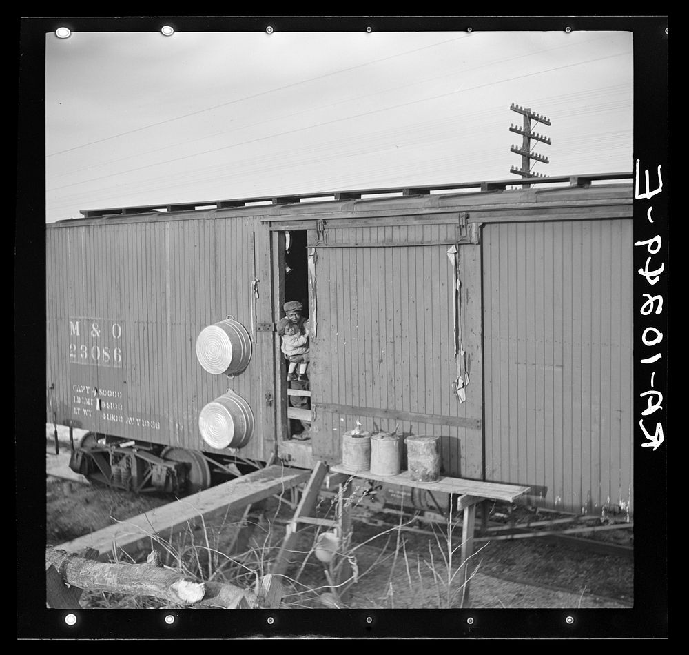 Boxcar home of flood refugees near Cache, Illinois. About fourteen were living in this car by Russell Lee