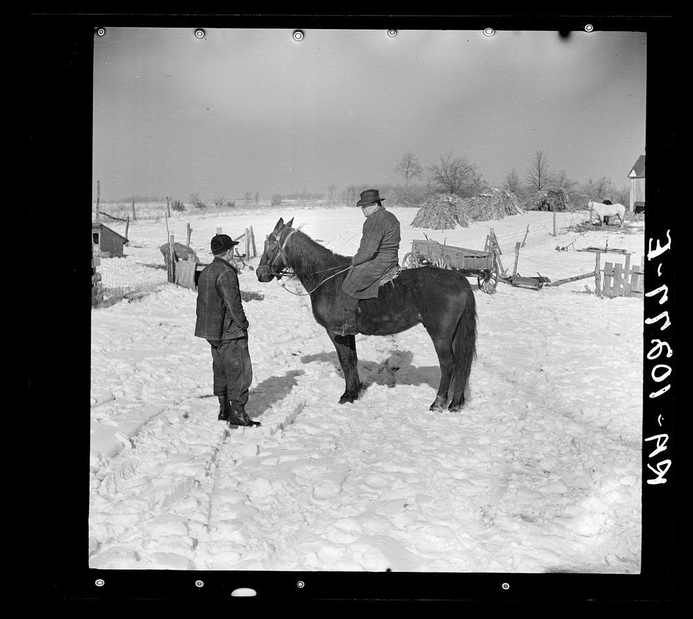 A neighbor comes to talk about selling his horse to Oscar Gaither, tenant farmer near McLeansboro, Illinois by Russell Lee