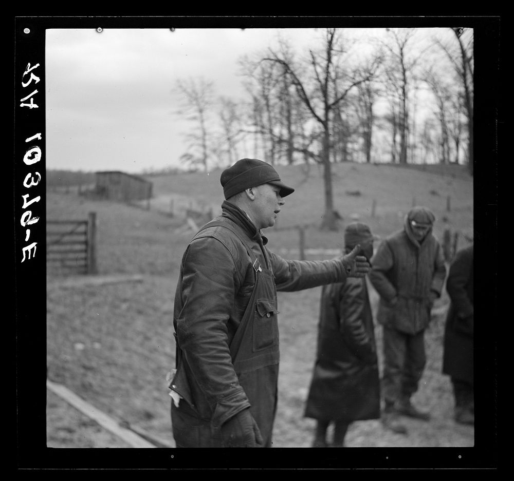 Frank Sheroan pleading for a better price on his livestock at closing-out sale. Near Montmorenci, Indiana by Russell Lee