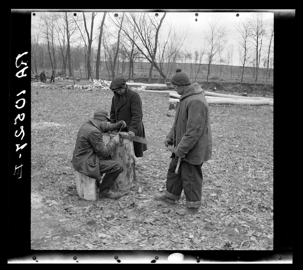 Workers filing saw used to cut trees in background. Near Shadeland, Indiana by Russell Lee