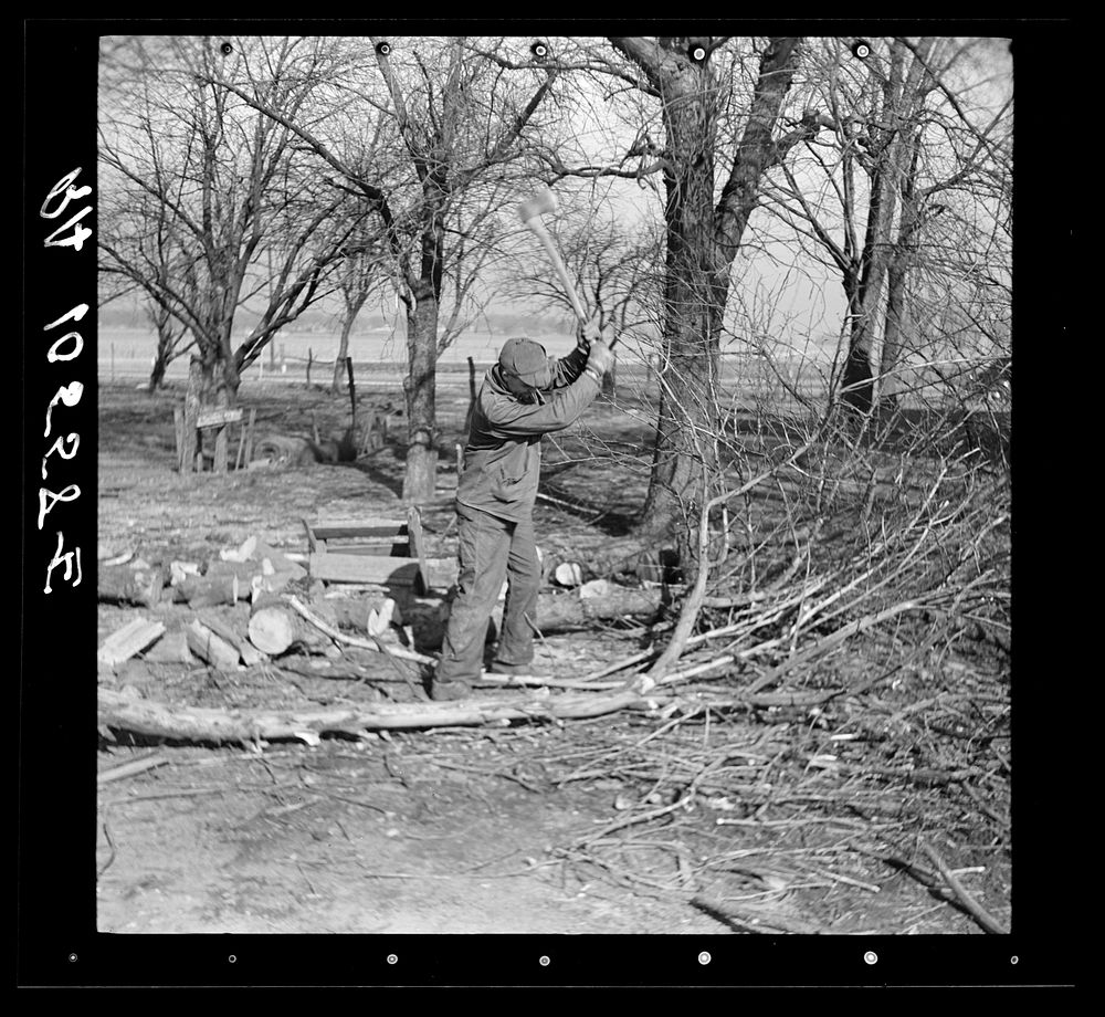 Sylvester Garring, thirty-one year old tenant of an absentee landlord, chopping wood. Near Fowler, Indiana by Russell Lee