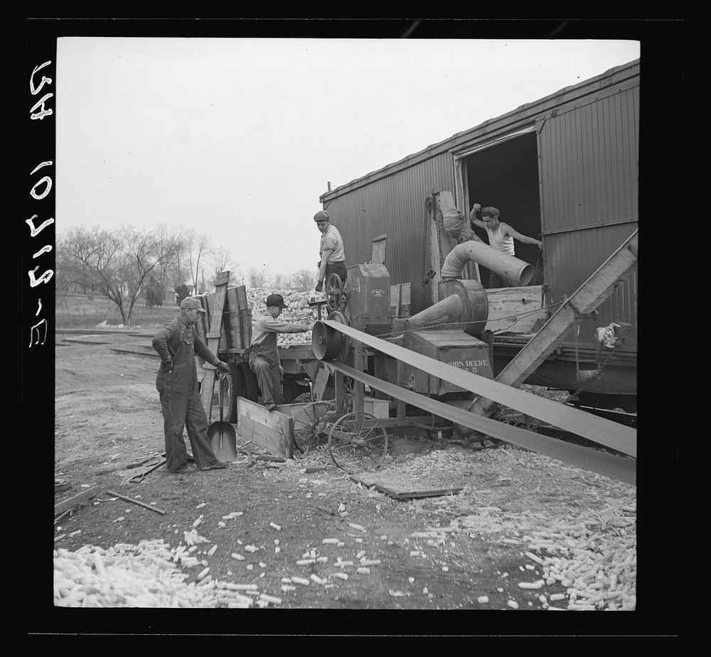 Shelling corn directly into a box car. Newton, Illinois by Russell Lee