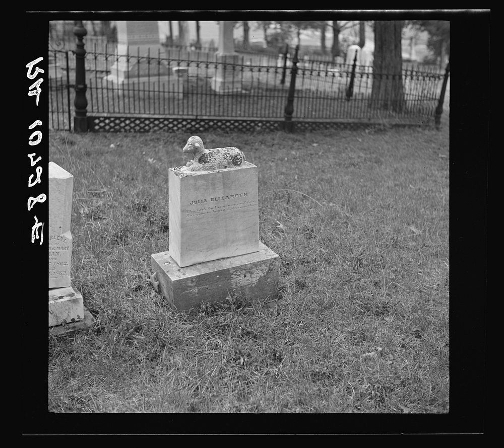 Tombstone near Shawneetown, Illinois by Russell Lee