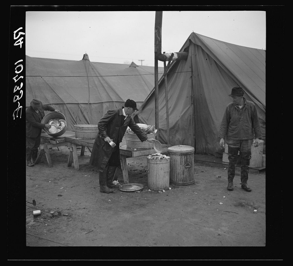 Disposal of garbage and dirty dishes. Tent City, near Shawneetown, Illinois by Russell Lee