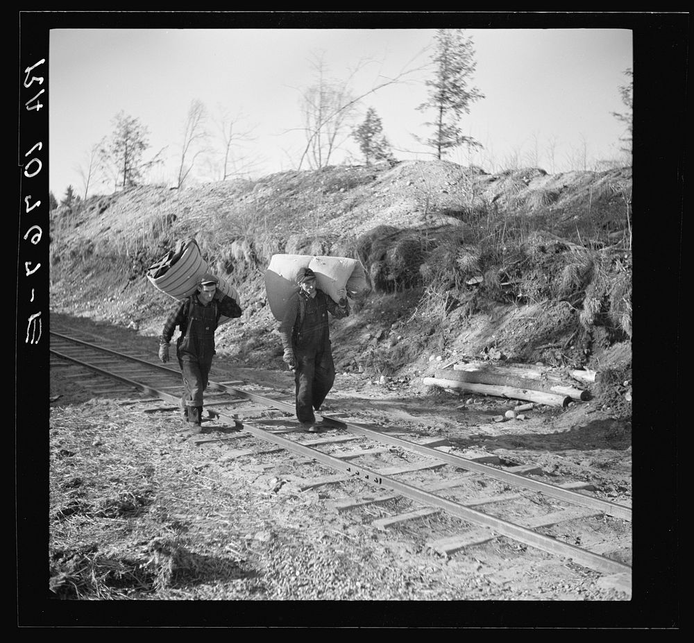 Lumberjacks with mattresses and equipment which they are returning to camp. They have been living in their own shacks.…