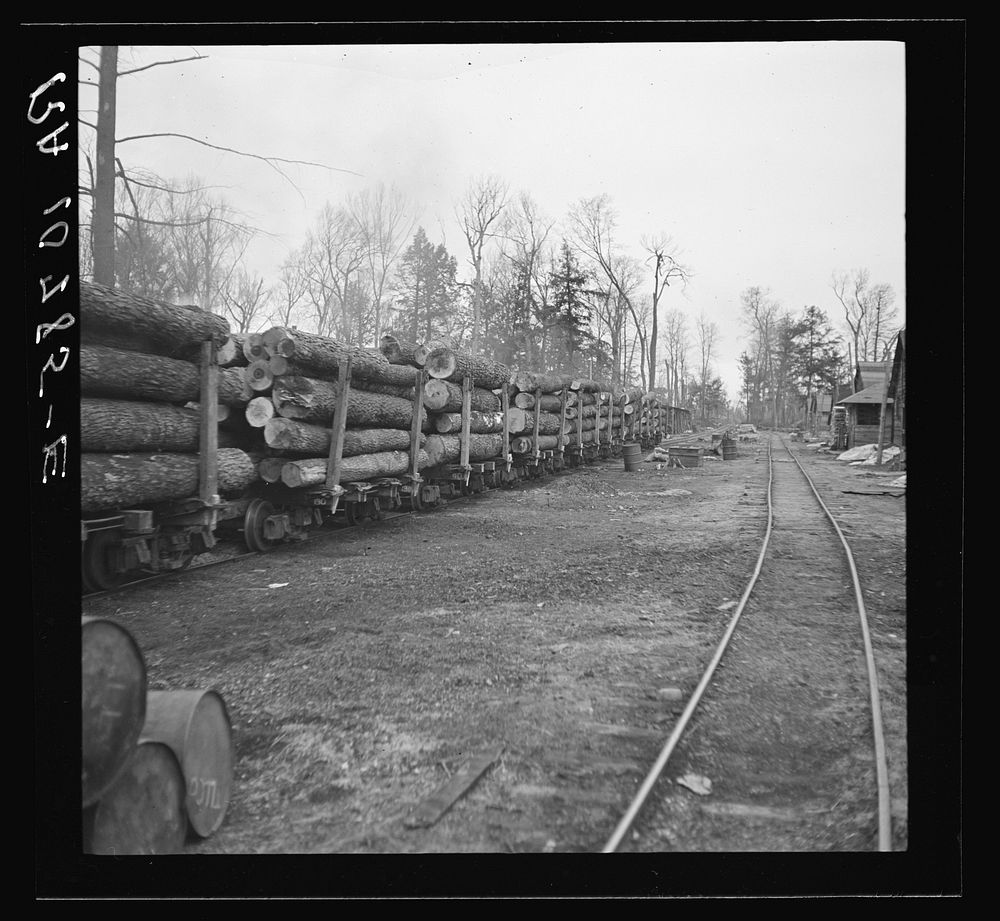 The main log train going through the lumber camp en route to Rhinelander, Wisconsin, where the sawmill is located. Forest…