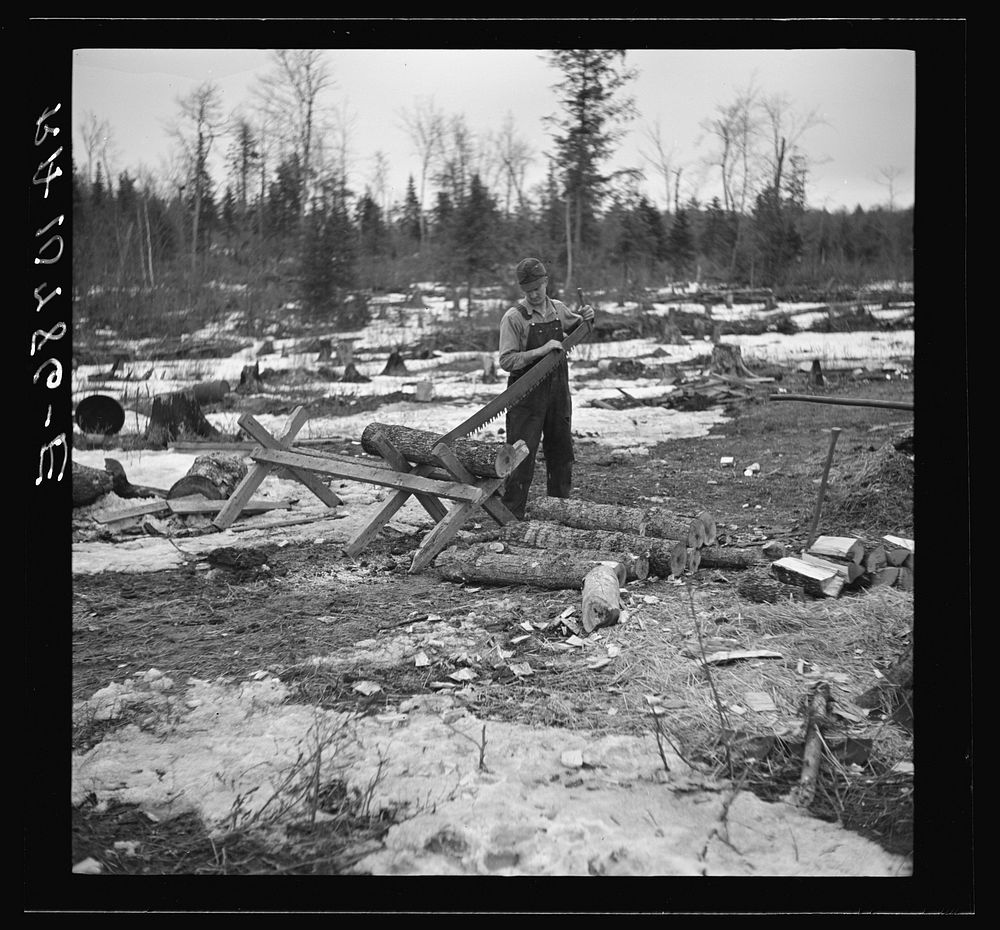 Mr. Smallwood, shacker near Alvin, Wisconsin, sawing wood by Russell Lee