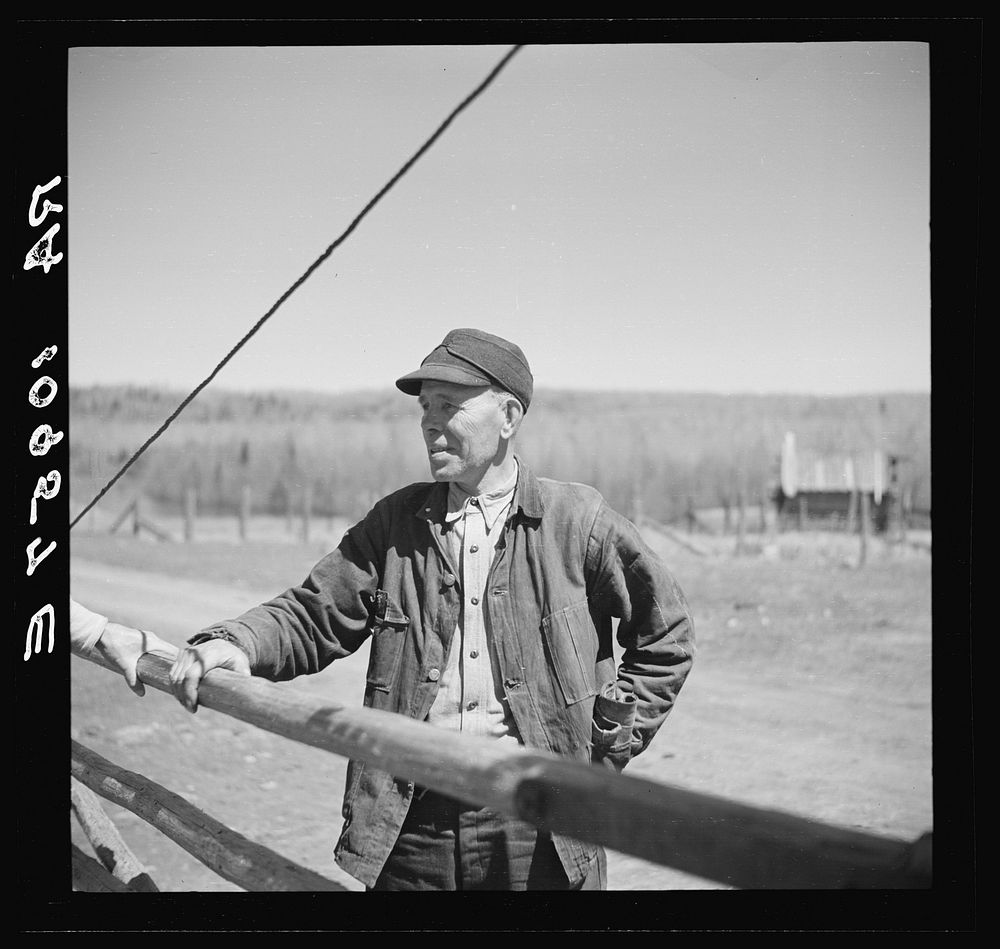 Emil Alto, once a saloon keeper in the former prosperous mining town of Mansfield, Michigan. He is now a cut-over farmer by…