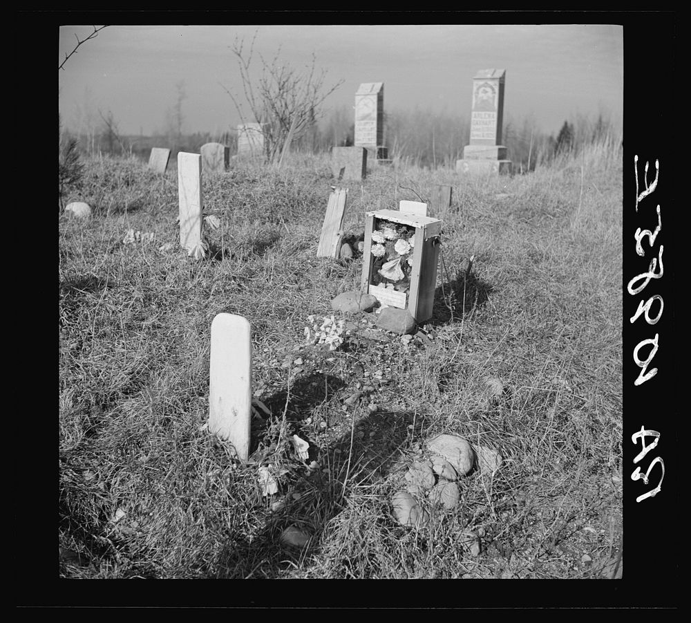Gravestones in an isolated cemetery on cut-over land in Florence County, Wisconsin by Russell Lee