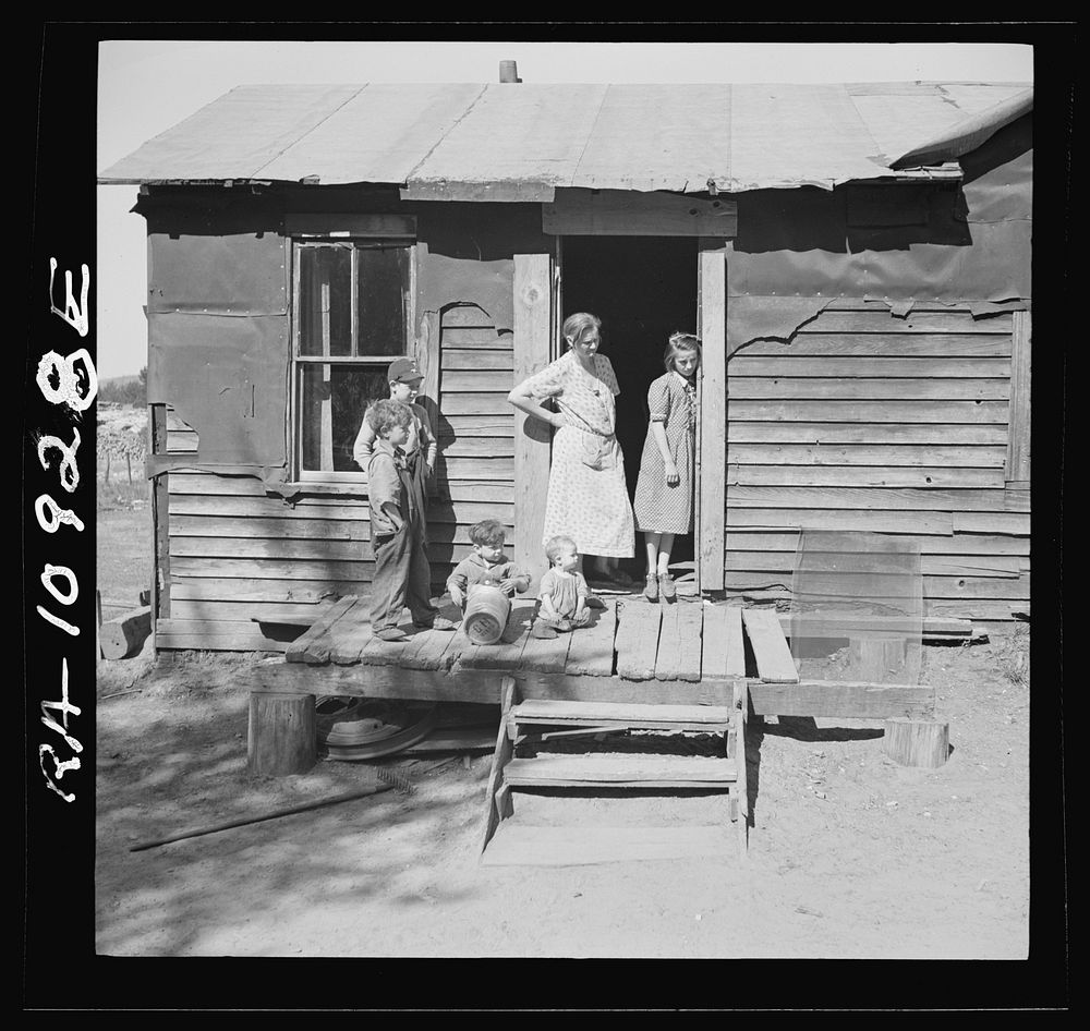 Members of the Gavanea family. Gibbs City, Michigan, a sawmill town by Russell Lee