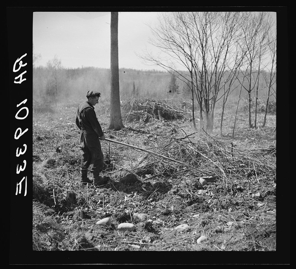 Sando Evanoff, farmer of the cut-over regions, Iron County, Michigan, tending a fire of brushings from the land being…