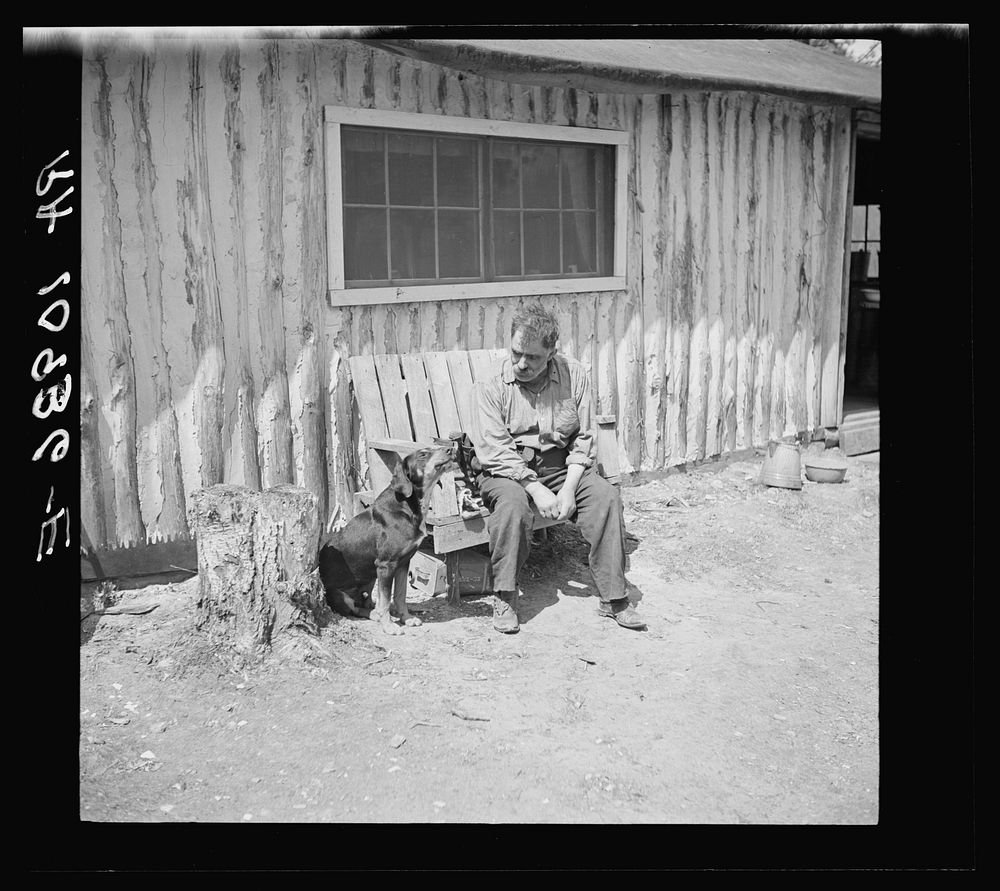Black Aleck Dickinson and his dog Snoop. Dickinson is a single shacker in Iron County, Michigan by Russell Lee