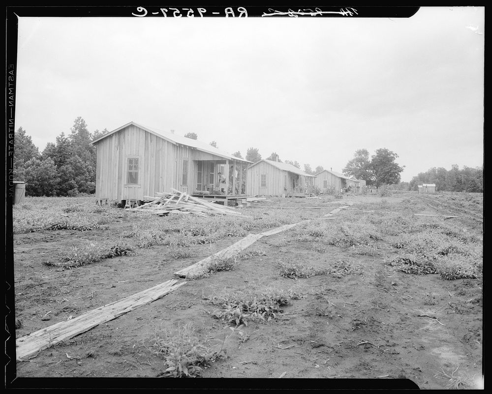[Untitled photo, possibly related to: New cabins at Hill House, Mississippi]. Sourced from the Library of Congress.