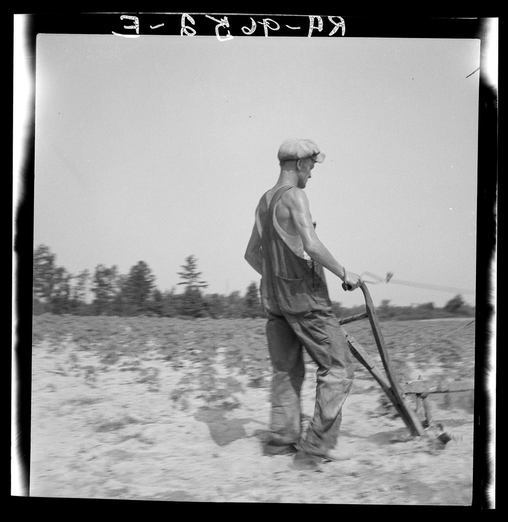 [Untitled photo, possibly related to: White tenant farmer works on shares. North Carolina] by Dorothea Lange