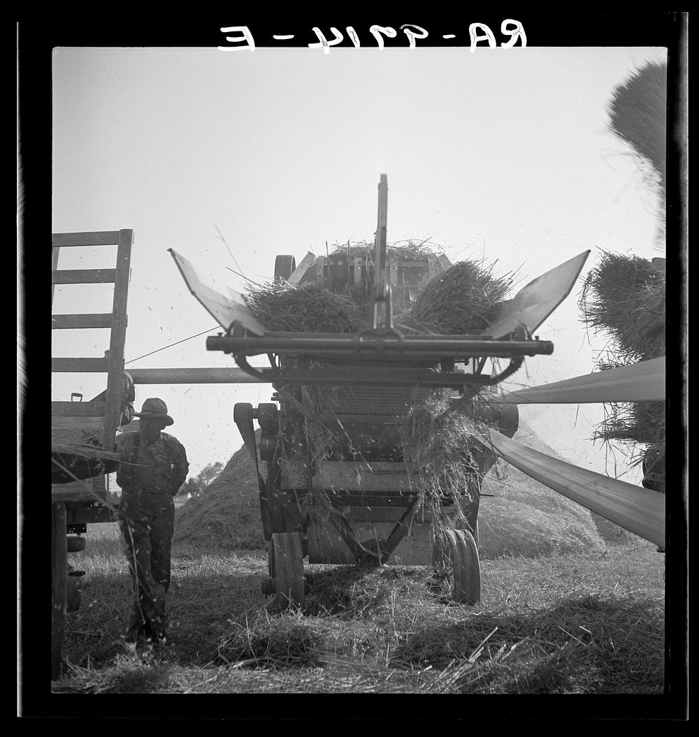 [Untitled photo, possibly related to: The threshing of oats. Clayton, Indiana, south of Indianapolis]. Sourced from the…