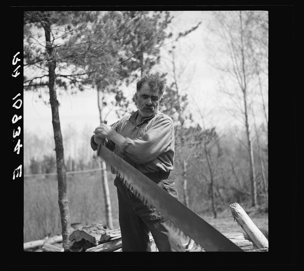 [Untitled photo, possibly related to: Black Aleck Dickinson, single shacker. Iron County, Michigan] by Russell Lee